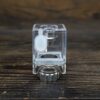 正品 佩特里DOTMOD AIO V2 原廠空倉